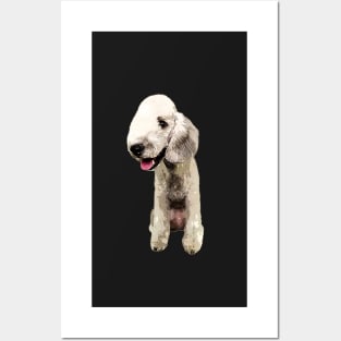 Bedlington Terrier Cute Pup Posters and Art